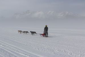 Musher heading out on day two