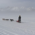 Musher heading out on day two