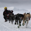Sequence of the winning musher headed home on day two