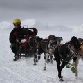 Sequence of the winning musher headed home on day two