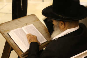 Reading Torah