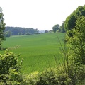 Field near Henley home