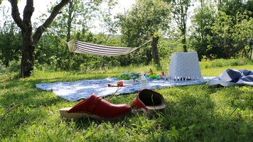 Backyard picnic