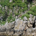 IMG_3567.JPG