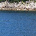 IMG_3572.JPG