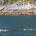 IMG_3645.JPG