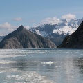 IMG_3779.JPG