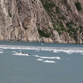 IMG_3786.JPG