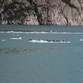 IMG_3897.JPG