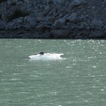 IMG_3907.JPG