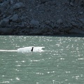 IMG_3909.JPG