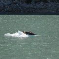 IMG_3918.JPG