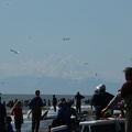 IMG_4129.JPG