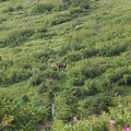 IMG_4161.JPG