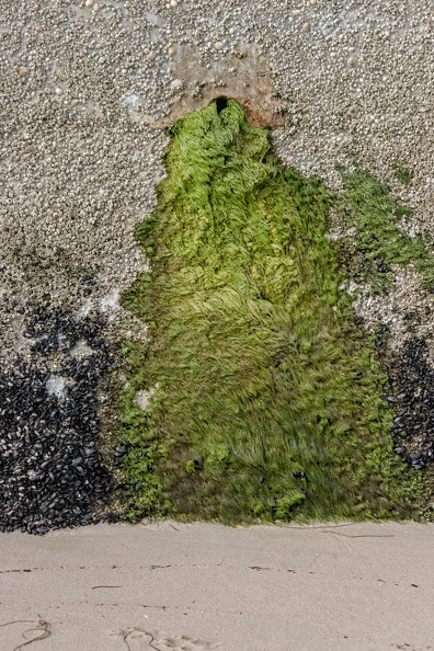 Green growth out of pipe-s.jpg